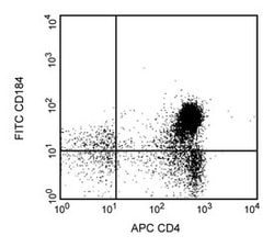 CD184 Rat anti-Mouse, FITC, Clone: 2B11/CXCR4, BD:Anticuerpos:Anticuerpos