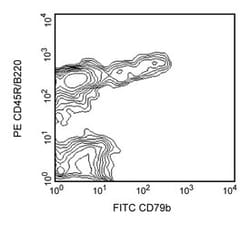 CD79b Hamster anti-Mouse, FITC, Clone: HM79B, BD 0.5mg; FITC:Antibodies,