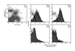 NK-T/NK Cell Antigen (ICAM-1) Rat anti-Mouse, PE, Clone: U5A2-13, BD 0.2mg;
