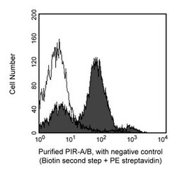 PIR-A/B Rat anti-Mouse, Unlabeled, Clone: 6C1, BD 0.1mg; Unlabeled:Antibodies,