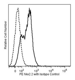 Nkx2.2 Mouse, PE, Clone: 74.5A5, BD 50 tests; PE:Antibodies, Monoclonal