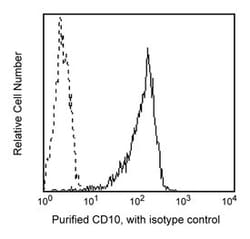 CD10 Mouse anti-Human, Unlabeled, Clone: HI10A, BD 0.1mg; Unlabeled:Antibodies,
