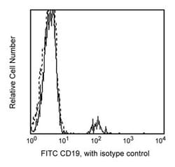 CD19 Mouse anti-Human, FITC, Clone: HIB19, BD 25 Tests; FITC:Antibodies,