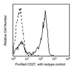 CD27 Mouse anti-Human, Unlabeled, Clone: M-T271, BD 0.1mg; Unlabeled:Antibodies,