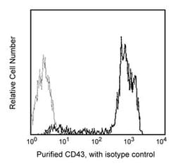 CD43 Mouse anti-Human, Unlabeled, Clone: 1G10, BD 0.1 mg | Buy Online | BD Biosciences | Fisher Scientific