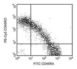 CD45RO Mouse anti-Human, PE-Cy5, Clone: UCHL1, BD:Antibodies:Primary Antibodies