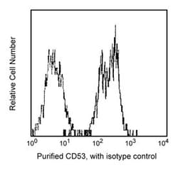 CD53 Mouse anti-Human, Unlabeled, Clone: HI29, BD 0.1mg; Unlabeled:Antibodies,