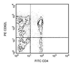 CD62L Mouse anti-Human, PE, Clone: DREG 56, BD 100 Tests; PE:Antibodies,