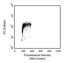 PCNA Mouse anti-Human, Biotin, Clone: PC10, BD 0.1mg; Biotin:Antibodies,