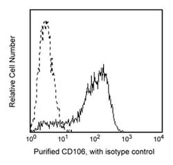 CD106 Mouse anti-Human, Unlabeled, Clone: 51-10C9, BD 0.1mg; Unlabeled:Antibodies,