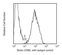 CD86 Mouse anti-Human, Biotin, Clone: 2331 (FUN-1), BD 100 Tests; Biotin:Antibodies,