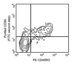 CD95 Mouse anti-Human, Unlabeled, Clone: DX2, BD 0.1mg; Unlabeled:Antibodies,