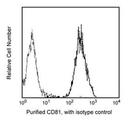CD81 Mouse anti-Human, Unlabeled, Clone: JS-81, BD 0.1mg; Unlabeled:Antibodies,