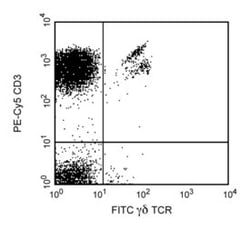 TCR Mouse anti-Human, FITC, Clone: B1, BD:Antibodies:Primary Antibodies