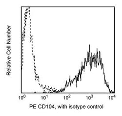 CD104 Rat anti-Human, PE, Clone: 439-9B, BD 100 Tests; PE:Antibodies, Monoclonal