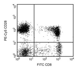 CD28 Mouse anti-Human, PE-Cy5, Clone: CD28.2, BD:Antibodies:Primary Antibodies