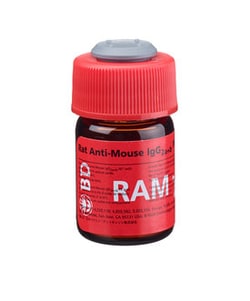 IgG2a+b Rat anti-Mouse, PE, Clone: X57, BD