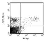 Thumbnail_Mouse anti-Human IgG, Clone: G18-145, PE, Secondary Antibody, BD 100 Tests;