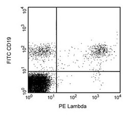 Light Chain, l Mouse anti-Human, PE, Clone: JDC-12, BD 25 Tests; PE:Antibodies,