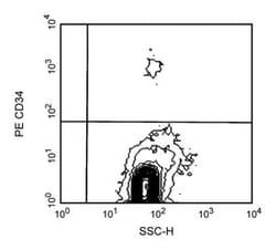 CD34 Mouse anti-Human, PE, Clone: 581, BD 25 Tests; PE:Antibodies, Monoclonal