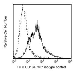 CD134 Mouse anti-Human, FITC, Clone: ACT35, BD 100 Tests; FITC:Antibodies,