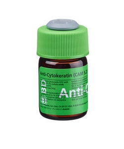 Cytokeratin Mouse anti-Human, FITC, Clone: CAM 5.2, BD 100 Tests; FITC:Antibodies,
