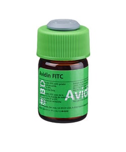 anti-Avidin, FITC , Clone: x, BD 500 Tests; FITC:Antibodies, Monoclonal