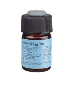 IgG2a Mouse, Unlabeled, Clone: X39, BD 100&mu;g; Unlabeled:Anticorps, Monoclonal