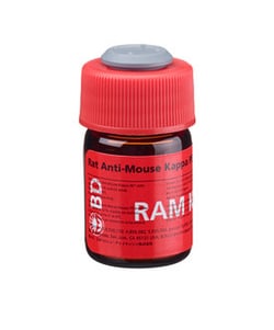 Kappa, Ig light chain Rat anti-Mouse, PE, Clone: X36, BD 100 Tests; PE:Antibodies,