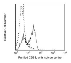 CD58 Mouse anti-Human, Unlabeled, Clone: 1C3, BD 0.1mg; Unlabeled:Antibodies,
