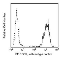 EGF Receptor Mouse anti-Human, PE, Clone: EGFR1, BD 100 Tests; PE:Antibodies,