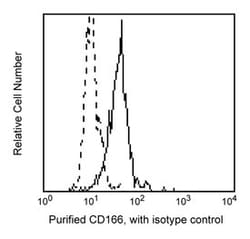 CD166 Mouse anti-Human, Unlabeled, Clone: 3A6, BD 0.1mg; Unlabeled:Antibodies,