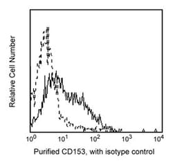 CD153 Mouse anti-Human, Unlabeled, Clone: D2-1173, BD 0.1mg; Unlabeled:Antibodies,