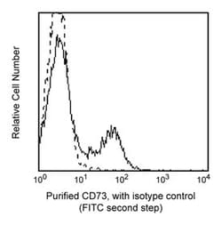 CD73 Mouse anti-Human, Unlabeled, Clone: AD2, BD 0.1mg; Unlabeled:Antibodies,