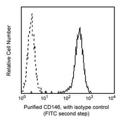 CD146 Mouse anti-Human, Unlabeled, Clone: P1H12, BD 0.1mg; Unlabeled:Antibodies,