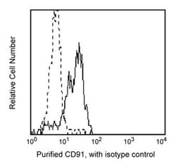 CD91 Mouse anti-Human, Unlabeled, Clone: A2MR-A2, BD 0.1mg; Unlabeled:Antibodies,