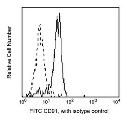 CD91 Mouse anti-Human, FITC, Clone: A2MR-A2, BD 100 Tests; FITC:Antibodies,