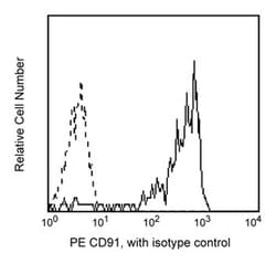 CD91 Mouse anti-Human, PE, Clone: A2MR-A2, BD 100 Tests; PE:Antibodies,