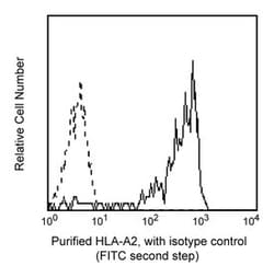 HLA-A2 Mouse anti-Human, Unlabeled, Clone: BB7.2, BD 0.1mg; Unlabeled:Antibodies,
