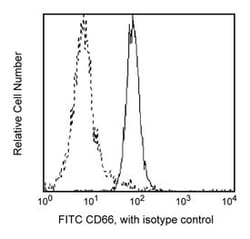 CD66c Mouse anti-Human, FITC, Clone: B6.2/CD66C, BD 100 Tests; FITC:Antibodies,