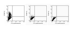 MIP-1 Mouse anti-Human, PE, Clone: D21-1351, BD 0.1mg; PE:Antibodies, Monoclonal