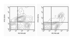 PIR-A/B Rat anti-Mouse, PE, Clone: 6C1, BD 0.1mg; PE:Antibodies, Monoclonal
