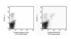 NKG2A/C/E Rat anti-Mouse, Unlabeled, Clone: 20D5, BD 0.1mg; Unlabeled:Antibodies,