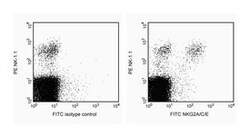 NKG2A/C/E Rat anti-Mouse, FITC, Clone: 20D5, BD 0.5mg; FITC:Antibodies,
