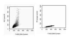 Cyclin B1 (a.a 1-21) with control Mouse anti-Human, PE, Clone: GNS-1, BD