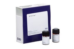 Cyclin B1 (a.a 1-21) with control Mouse anti-Human, PE, Clone: GNS-1, BD