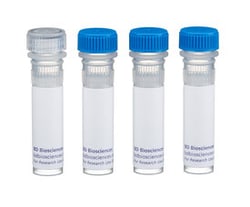 PARP Mouse anti-Human, Unlabeled, Clone: 7D3-6, BD:Antibodies:Primary Antibodies
