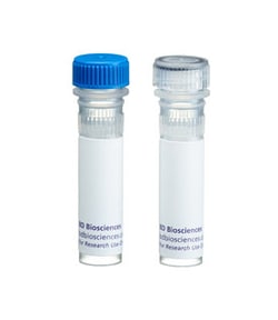 Bcl-2 w/control Hamster anti-Human, Unlabeled, Clone: 6C8, BD:Antibodies:Primary