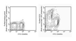 CD73 Mouse anti-Rat, Unlabeled, Clone: 5F/B9, BD 0.1mg; Unlabeled:Antibodies,