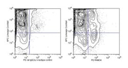 CD34 Rat anti-Mouse, PE, Clone: RAM34, BD 0.2mg; PE:Antibodies, Monoclonal
